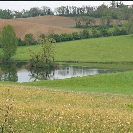 Seuls en Pleine Nature - Gîte la Côte Blanche Puygaillard-de-Quercy Extérieur photo