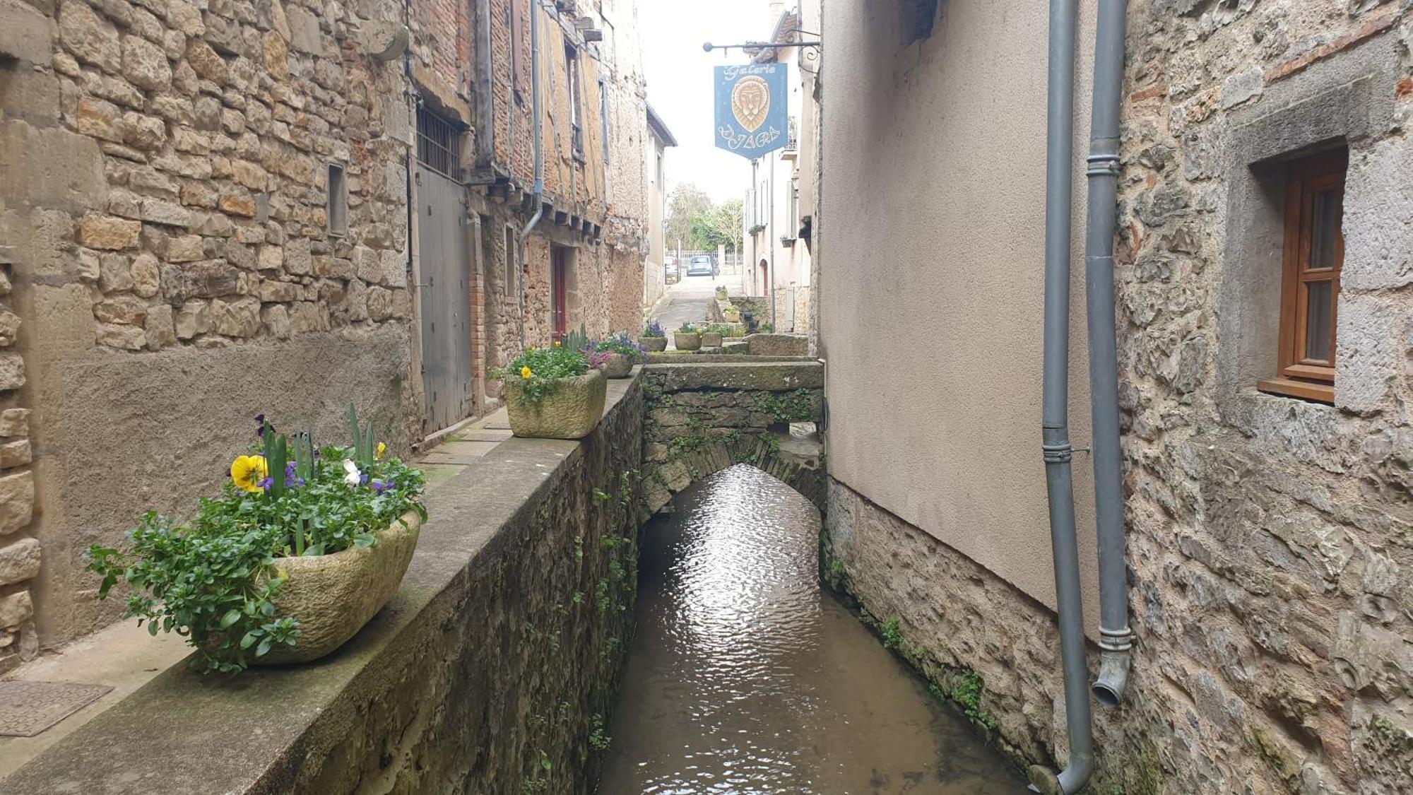 Seuls en Pleine Nature - Gîte la Côte Blanche Puygaillard-de-Quercy Extérieur photo