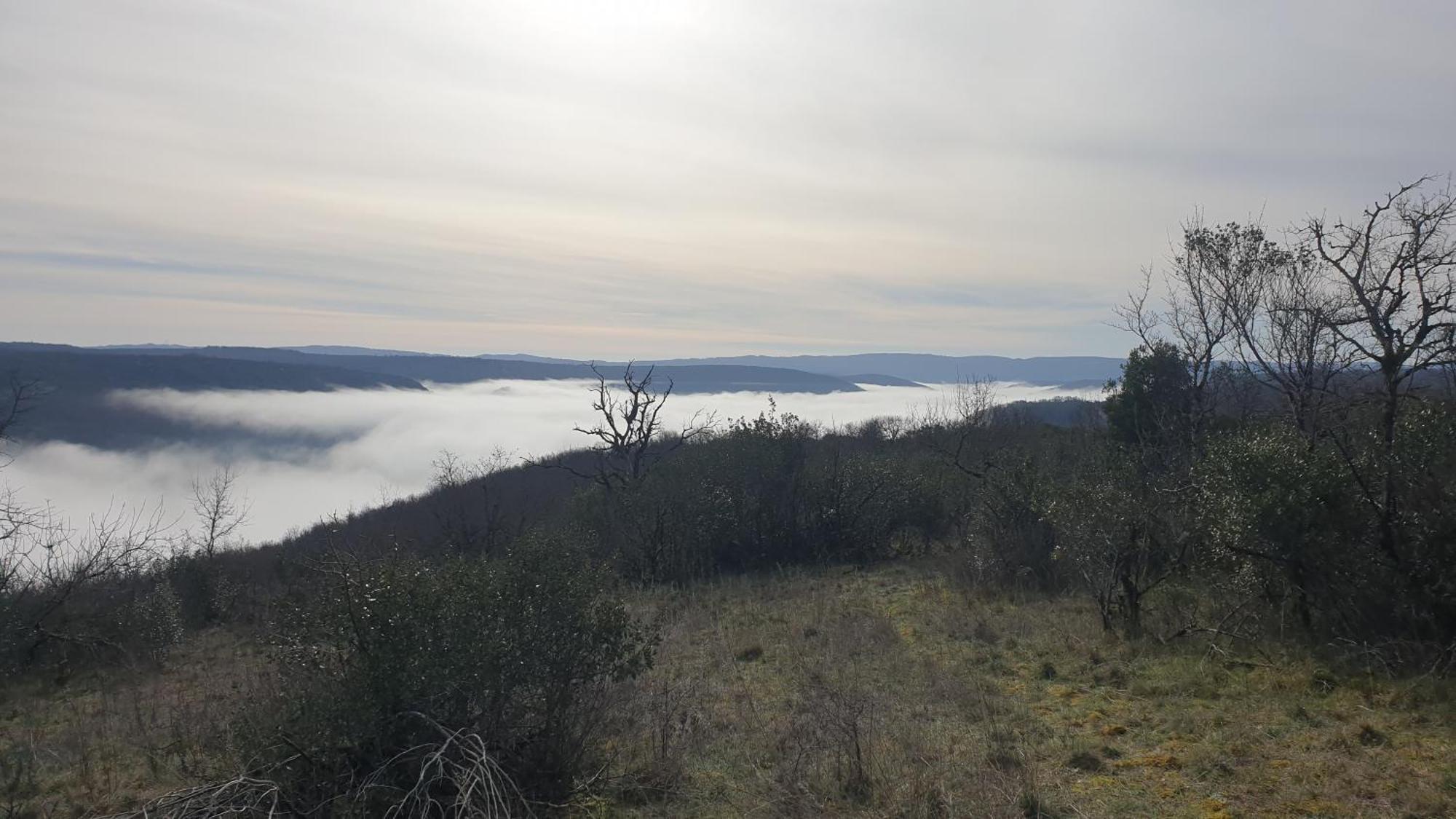 Seuls en Pleine Nature - Gîte la Côte Blanche Puygaillard-de-Quercy Extérieur photo