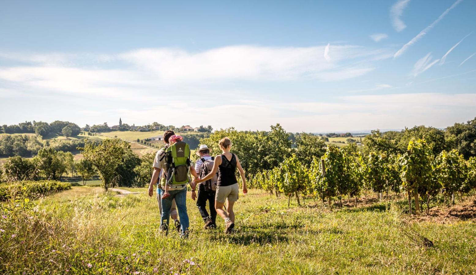 Seuls en Pleine Nature - Gîte la Côte Blanche Puygaillard-de-Quercy Extérieur photo