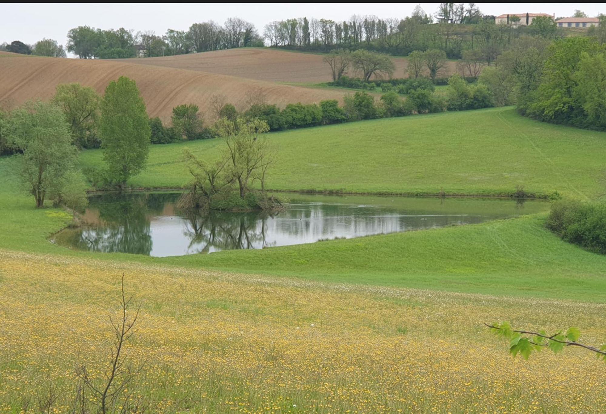 Seuls en Pleine Nature - Gîte la Côte Blanche Puygaillard-de-Quercy Extérieur photo